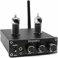 Diypoetry R50 真空管アンプ (USED) Amazon.co.jp: Dilvpoetry R50 チューブアンプ 50W×50W 高低音